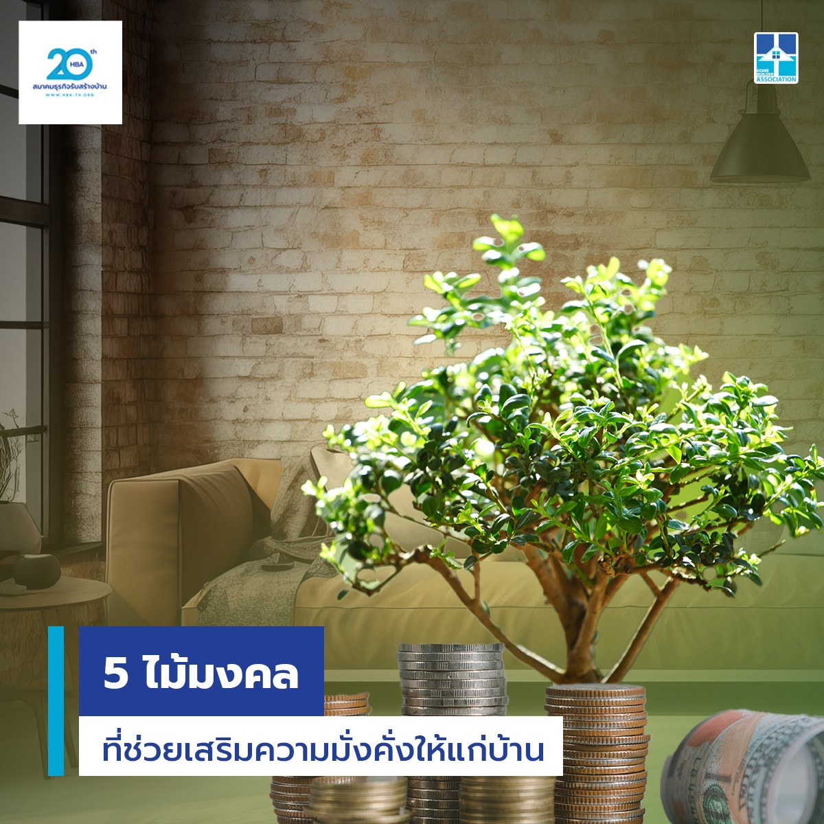 5 ต้นไม้มงคลที่ช่วยเสริมความมั่งคั่งให้แก่บ้าน